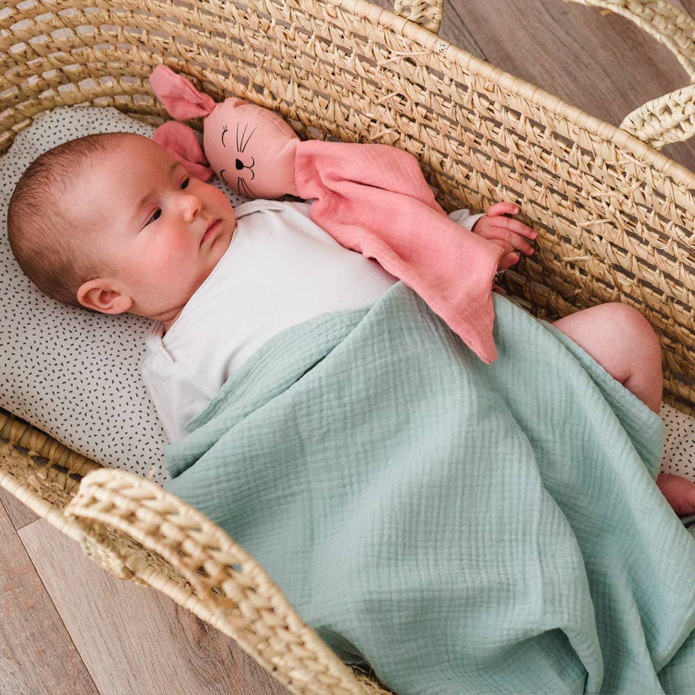 Newborn swaddled in organic cotton muslin blanket